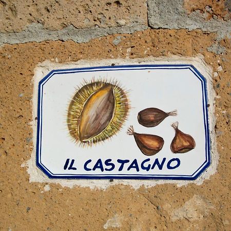 Agriturismo Cerqueto Acquapendente Værelse billede