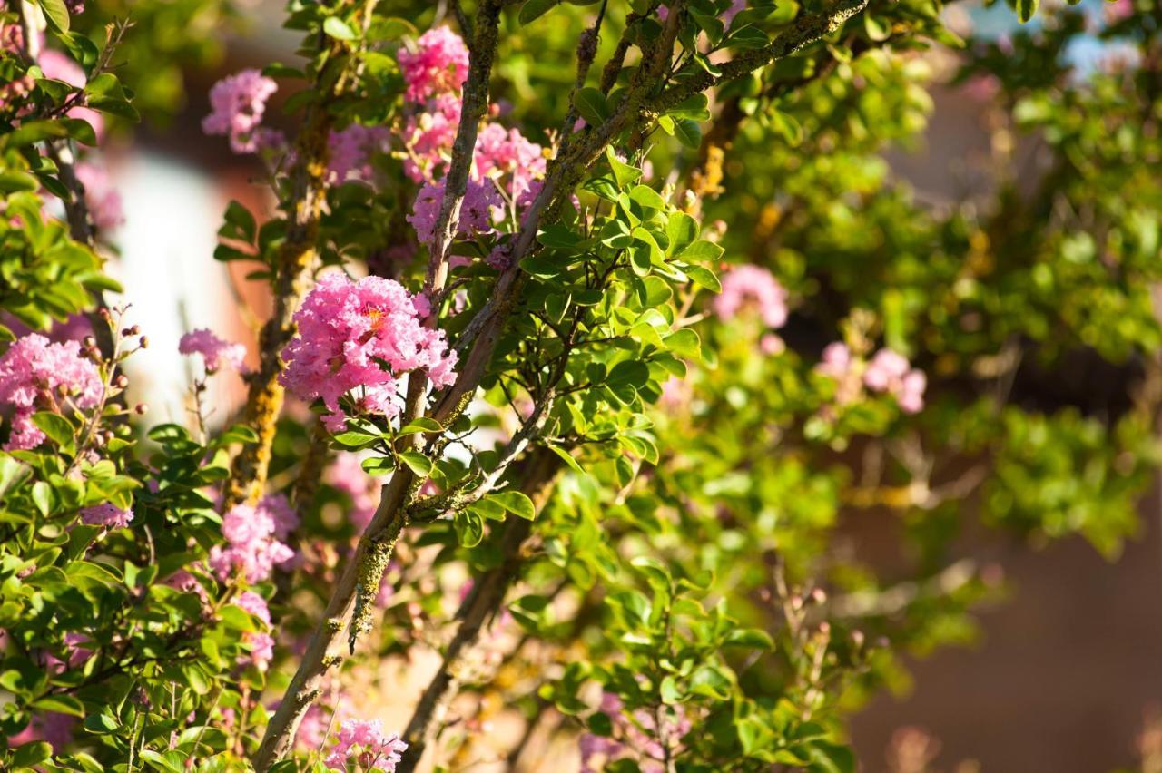 Agriturismo Cerqueto Acquapendente Eksteriør billede