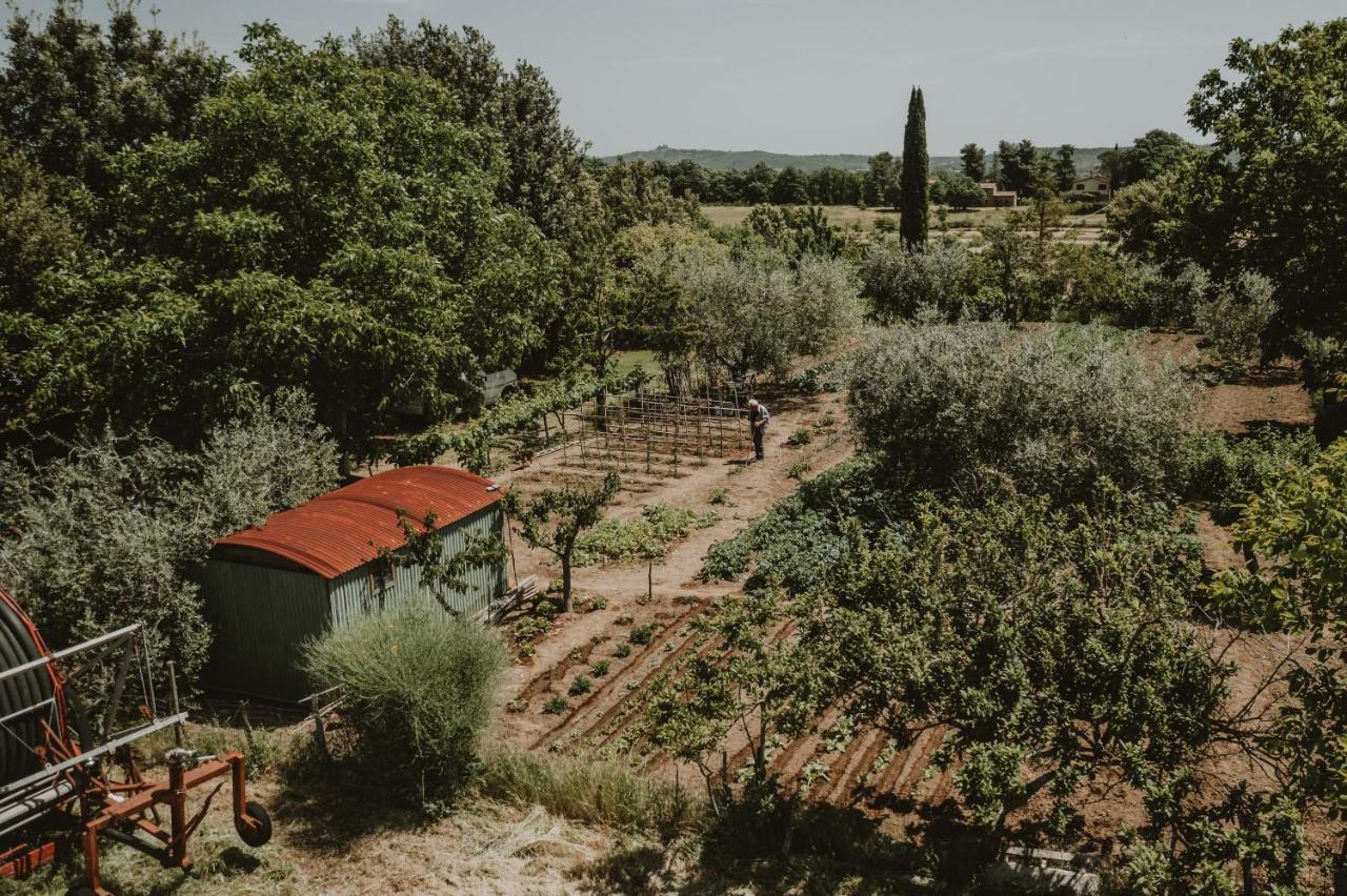 Agriturismo Cerqueto Acquapendente Eksteriør billede