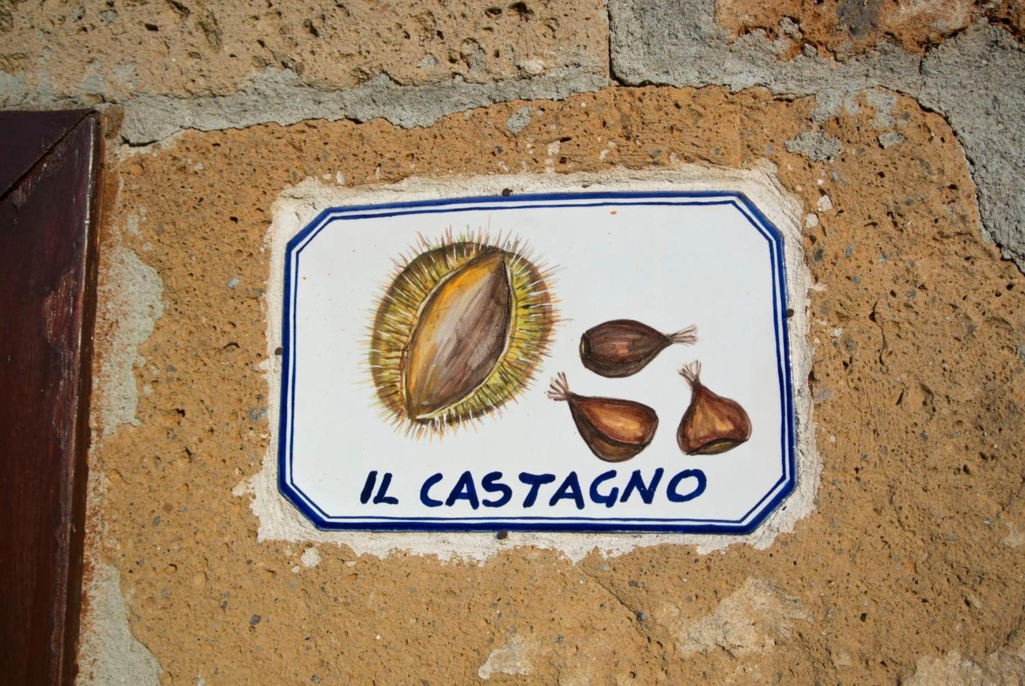 Agriturismo Cerqueto Acquapendente Værelse billede